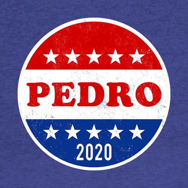 Vote for Pedro 2020 Elections by Electrovista